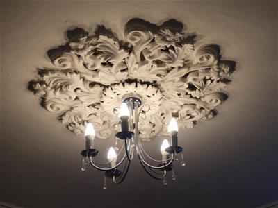 Picture 7